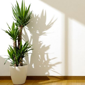 arredo ufficio green
